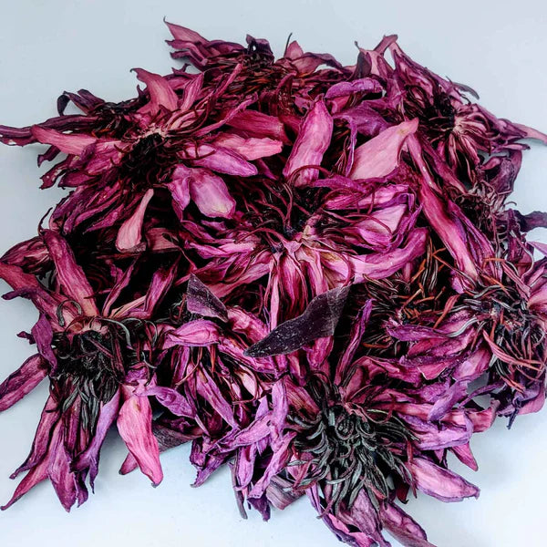 KaPadma-Sangraal: Red Lotus