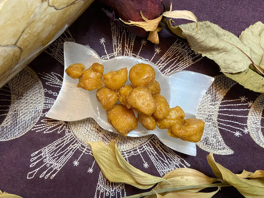 Devil's Dung: Asafoetida Resin